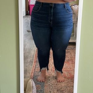 American Eagle Plus Size Jeans